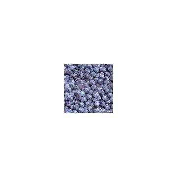 Sell Chinese Wild Blueberry