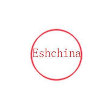 Evershining Corporation Limited