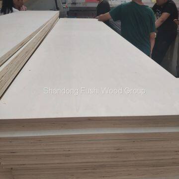 Poplar 4x8 Veneer Plywood