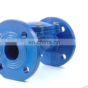 DN100 PN16 ASIN Cast Iron Flapper Type Check Valve