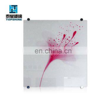 Silkscreen Printing Glass/ Digital Printing Glass for Refrigerator Door photo-3