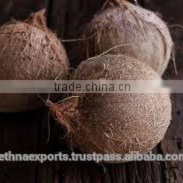 Tasty and Healthy Cocnut From India photo-4
