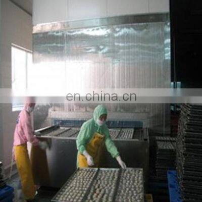 1000kg Frozen Fruit Vegetable Processing Line Price/iqf Freezer Vegetables Line photo-4