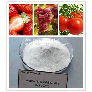 Supply Agrochemical Gibberellic Acid Ga3 90%tc for Sale With Price photo-2
