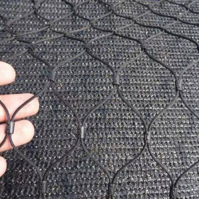 SUS316 Black Stainless Steel Wire Rope Mesh Net for Zoo Animal