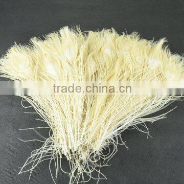 indian peacock feather white trim