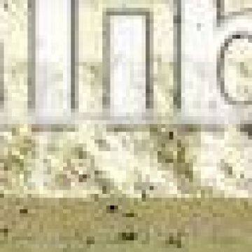 Ceramic wholesaler exterior wall tiles