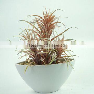 High Quality Artificial Plant Green Plant Succulent Plant photo-4