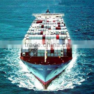 shipping company from Shenzhen to Hoston USA