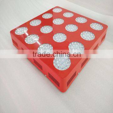 greenhouse led grow lighting hydro full spectrum led 1000w