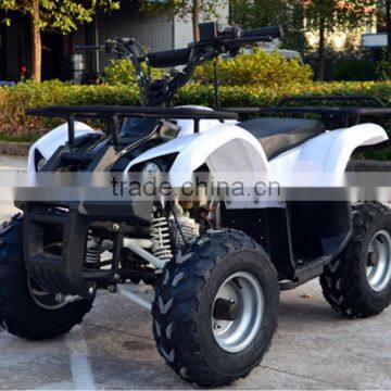 110cc 125CC SPORTS ATV QUAD FOR KIDS WITH REVERSE