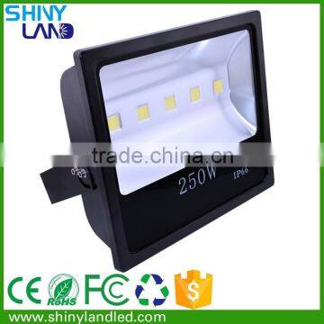 High power 250W led floodlight with good price