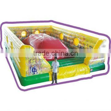 Cheer Amusement Interactive Sport Inflatable Bouncer for Sales