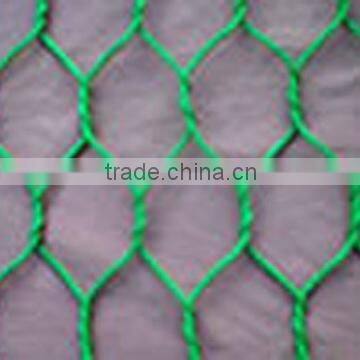 Electro Galvanized Hexagonal Wire mesh