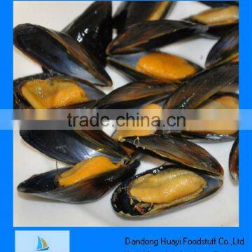 frozen mussel meat