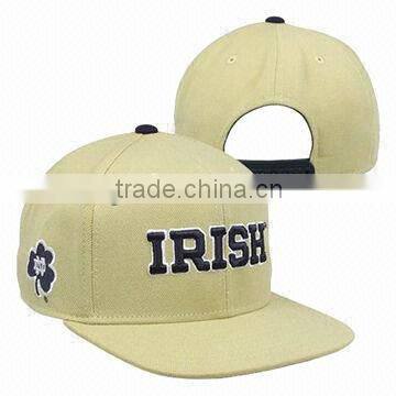 fashion snapback cap with 3D embroidery