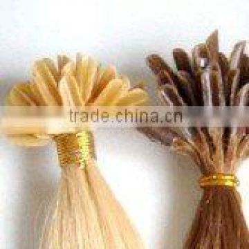 pre-tip human hair extension