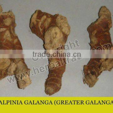 Alpinia galanga powder