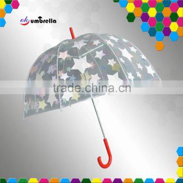 Transparent Umbrella Print Inside Umbrella