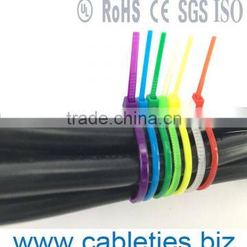 2.5*60mm Nylon Self-locking Cable Ties