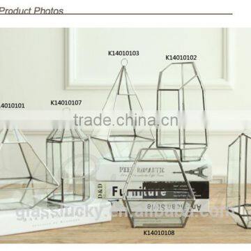 Round Terrarium Glass. Geometric Glass Terrarium Wholesale Container photo-6