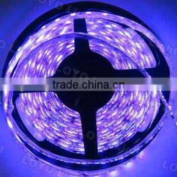 flexible black light led strip,12 volt led light strips,rgb led strip car