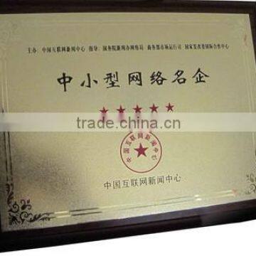 Network Name-Brand Company