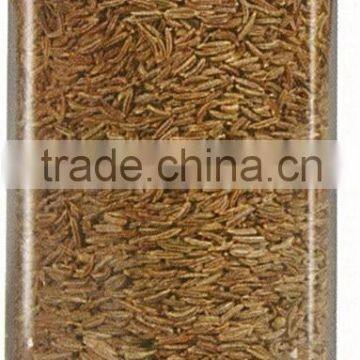 Caraway Seeds