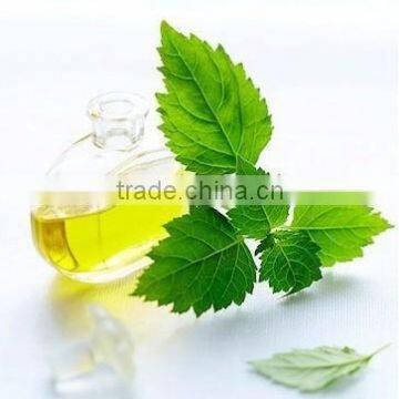 PATCHOULI ESSENTIAL OIL