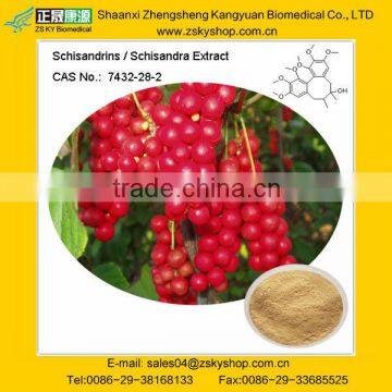 Schisandra Chinensis Extract with Schisandrins 1%-9% HPLC