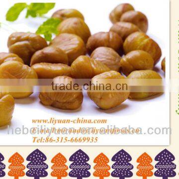 top quality roasted chestnuts snack foods