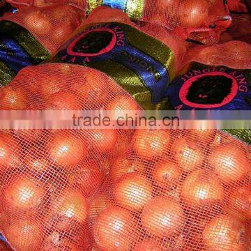 Fresh Yellow Onion to Dubai photo-5
