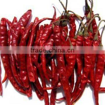 Best Quality Dried Red Chill Exporters