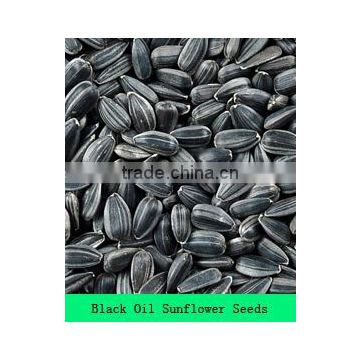 Sunflower seeds for Oil /oil seeds