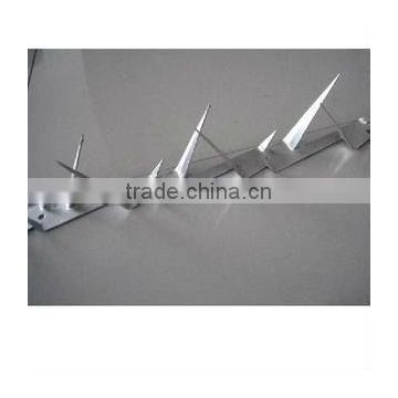 wall spikes 2m length 1mm thickness 10cm barbed length