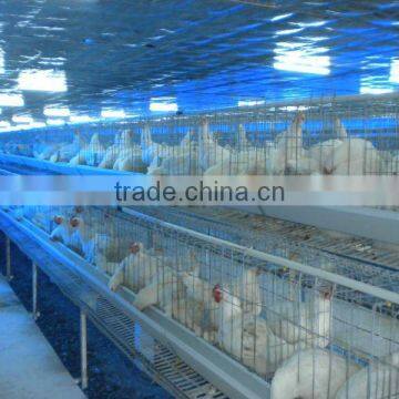 Poultry Cages