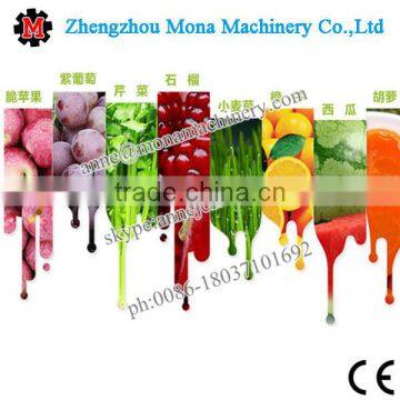 Hot Sale Healthy Wheat Grass Juicer Fruit Juicing Machine Vegetable Juicer for Home Use photo-2