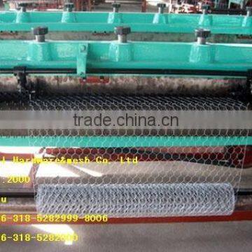 hexagonal wire mesh