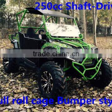 Full roll cage Bumper UTV/250cc shaft drive sport UTV/250cc SPIDER UTV GO KART (TKG250-A3)