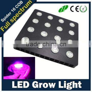 1440w 1200w 1000w full spectrum plant growth led grow lights sale