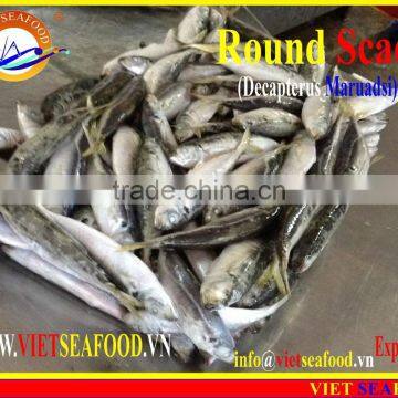 FROZEN W/R ROUND SCAD photo-3