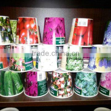 paper cup planting,coffee cup planting,planter flower with grow medium