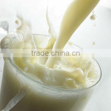 instant fat filled milk powder IFFMP