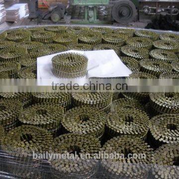 2017 Hot Sale Coil Nails From Factory photo-5