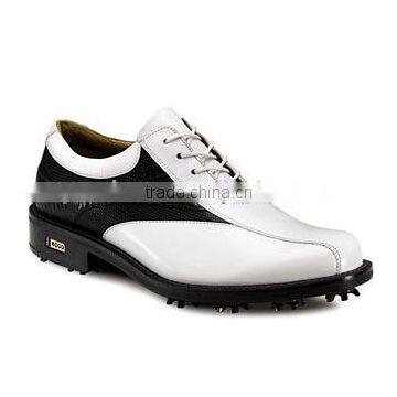fashion stylish business golf shoes for men or women made in china jinjiang factory