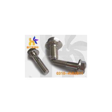 Flange Bolts|Bolts|Fasteners