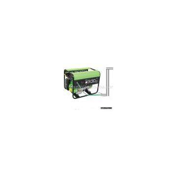 CNG/LPG gas generator