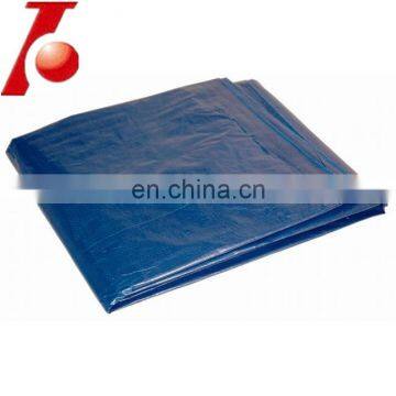 Agriculture Covering PE Tarpaulin Sheet