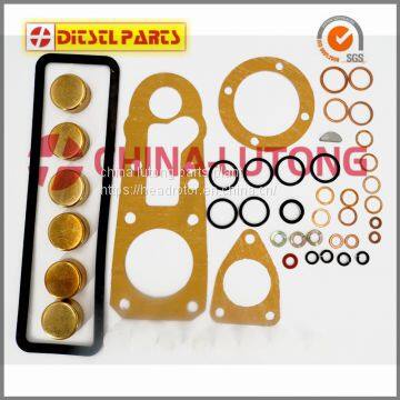 Diesel Fuel Pump Repair Kit 1 417 010 003 for Cummins Engine Overhaul Kits photo-3