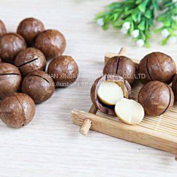Macadamia Nut Drying Machine photo-5